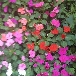 Meet your Posher, Vicki